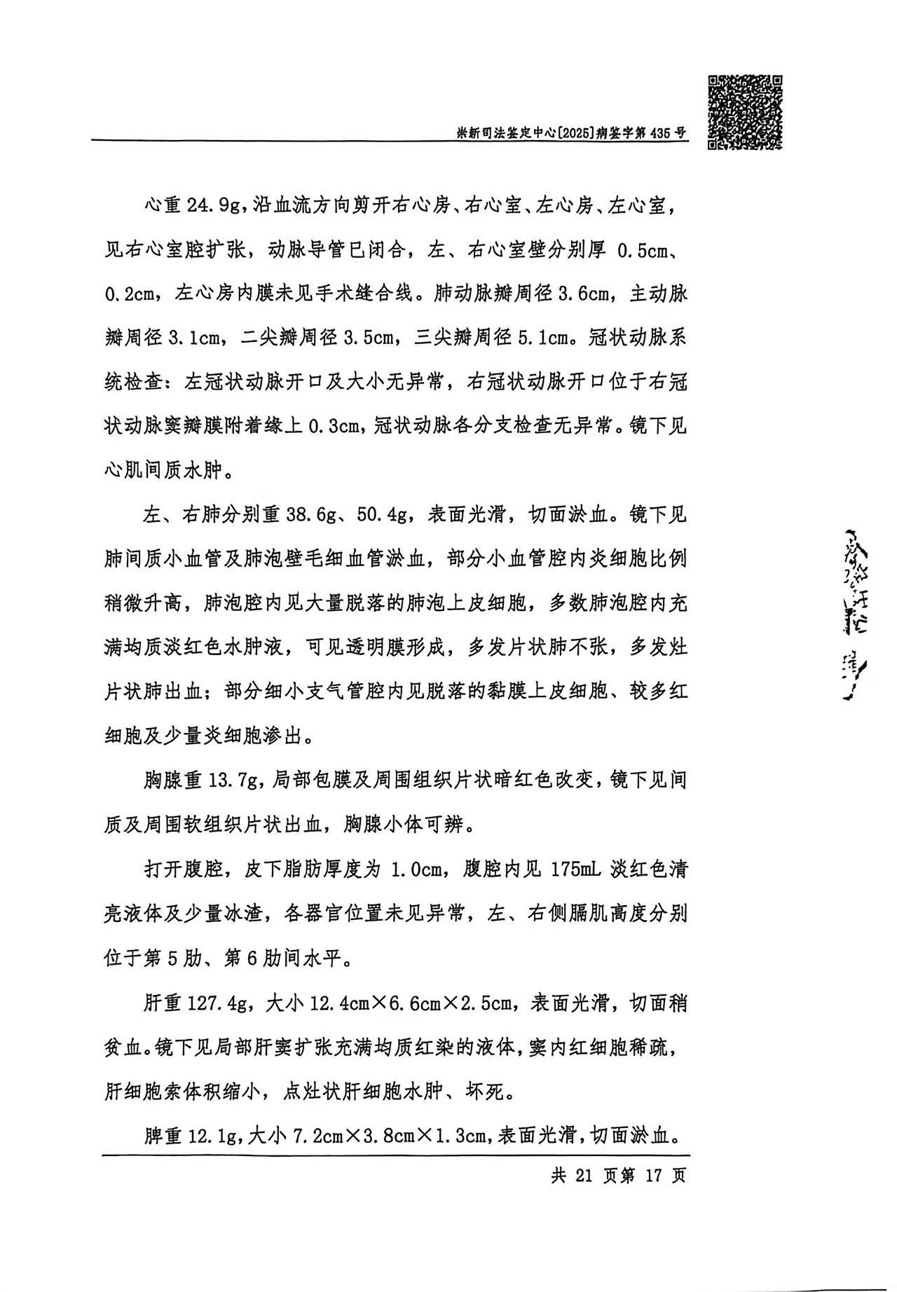 尸检报告 P17