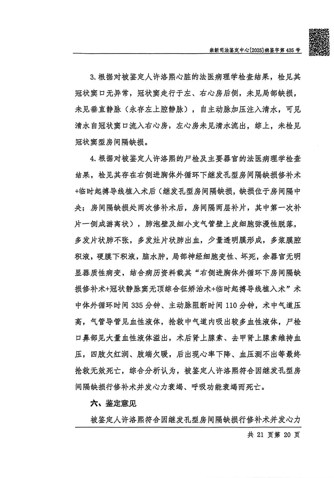 尸检报告 P20