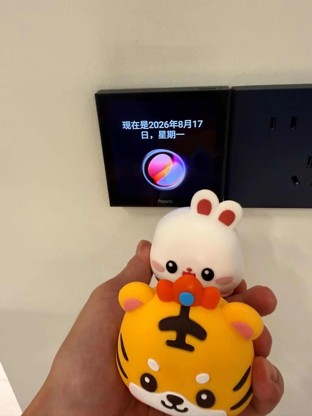8月17日报平安：手持小兔子和小老虎玩偶，身后墙上的屏幕显示现在是2026年8月17日星期一