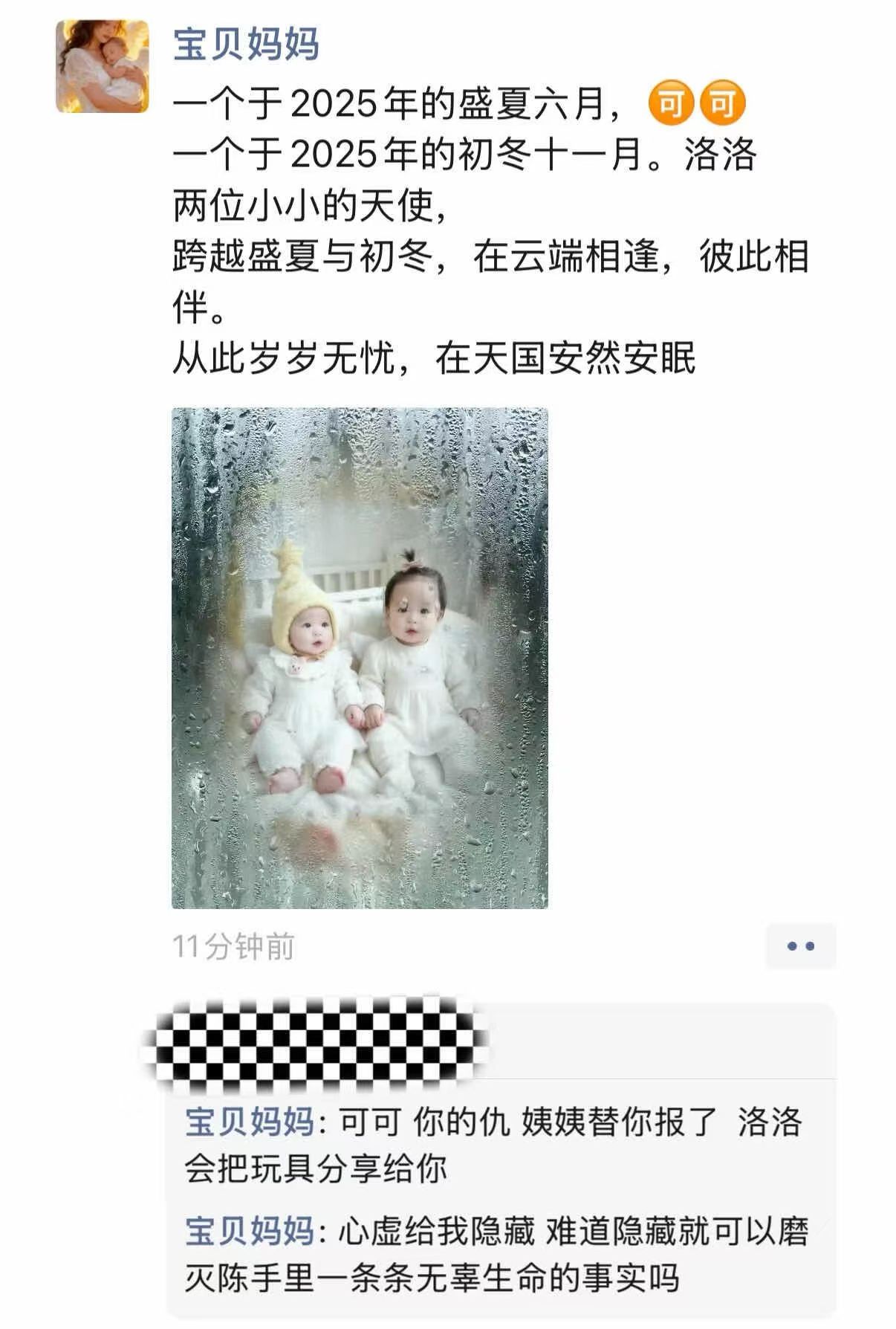 朋友圈截图：正文写一个于2025年的盛夏六月可可、一个于2025年的初冬十一月洛洛，两位小小的天使跨越盛夏与初冬在云端相逢彼此相伴、从此岁岁无忧在天国安然安眠；配图为两个婴儿并排躺着的合成照片；下方两条留言分别写可可你的仇姨姨替你报了洛洛会把玩具分享给你，以及心虚给我隐藏难道隐藏就可以磨灭陈手里一条条无辜生命的事实吗