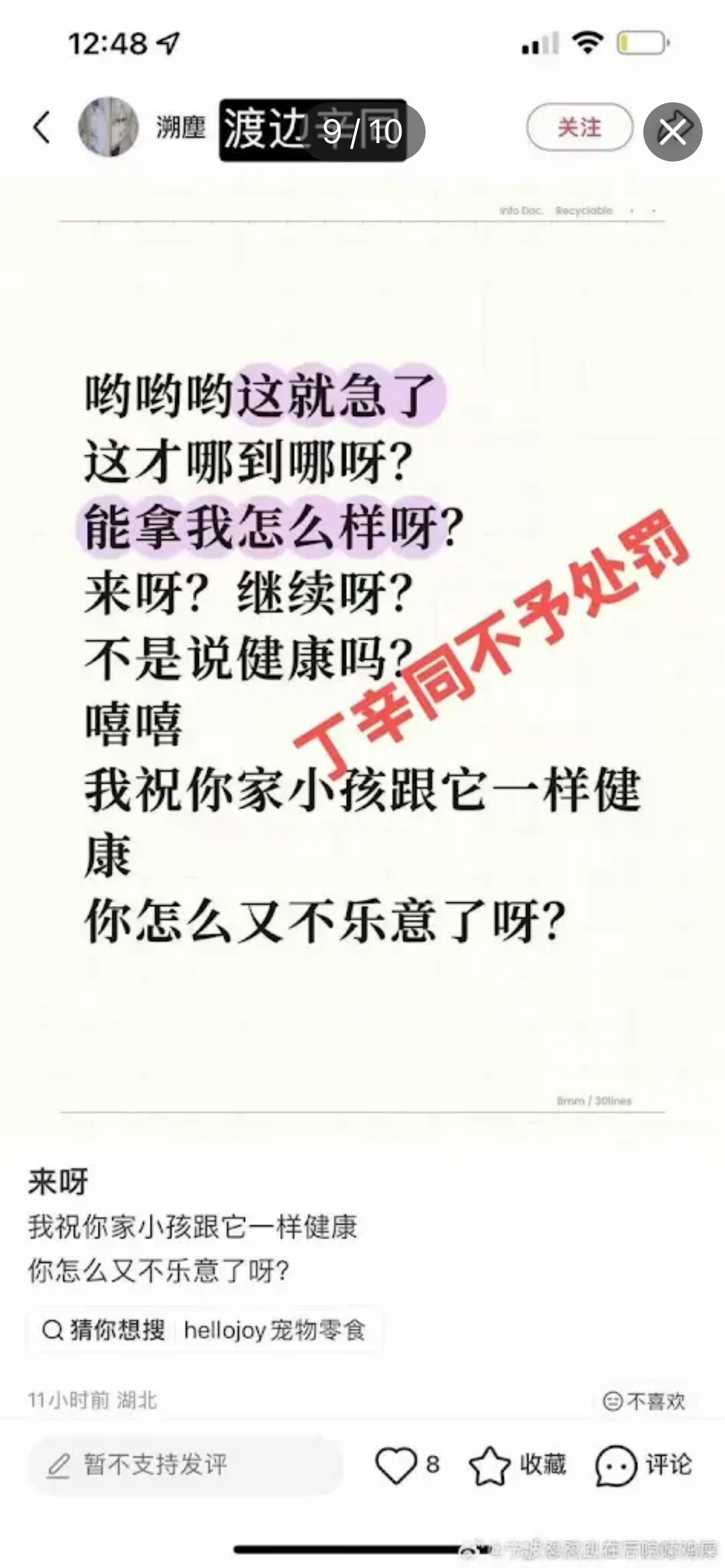 社交平台帖子截图：内容写这就急了、能拿我怎么样呀、我祝你家小孩跟它一样健康，帖上有红字标注丁辛同不予处罚